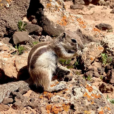 Lagos Renovated New Kitchen & *