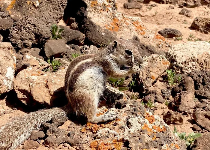 Lagos Renovated New Kitchen & *