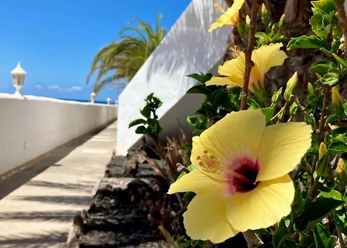 Lagos Renovated New Kitchen &